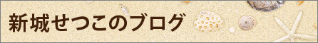 新城せつこのブログ