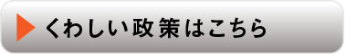 詳しい政策はこちら